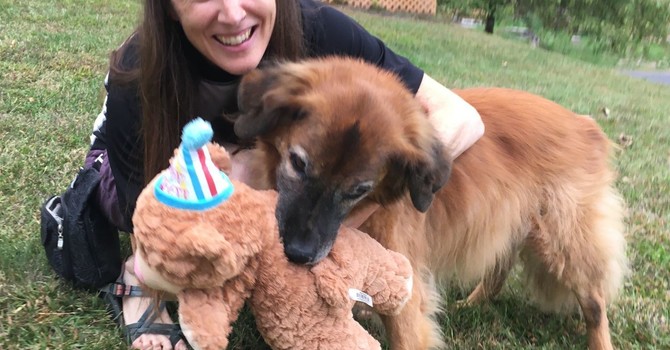 Grief, Emotions, and Acupuncture