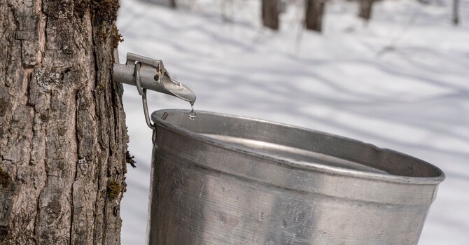 Spring Equinox & the Balance of Yin and Yang